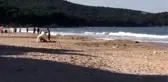 Denizde kaybolan genç aranıyor