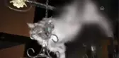 Korkuluk demirine saplanan kediyi itfaiye kurtardı