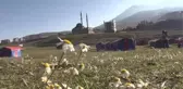 Erciyes yaz turizminin de gözdesi oldu