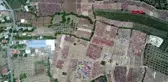 ANTALYA RENGARENK HALI TARLASI