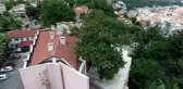 Bursa Orduevi'nin asırlık çınarları