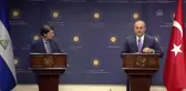 Çavuşoğlu-Colindres ortak basın toplantısı - Colindres