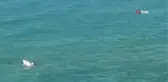 Denizde akıntıya kapılan 5 kişiden 1'i hayatını kaybetti