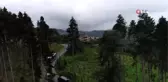 Atatürk Köşkü Ormanı eski görünümüne kavuşuyor...Orman alanı havadan görüntülendi