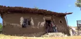 Huzuru Köyde Bulanlar - Köyüne dönerek kazancını da huzurunu da artırdı