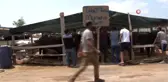 Tokatlı besici kardeşlerin buruk sevinci...Kaybolan hayvanlarına 1 hafta sonra kavuştu