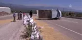 Arpa yüklü kamyonet devrildi: 3 yaralı