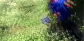 BURSA Cesedi bulunan yaşlı adamın vücut parçaları aranıyor