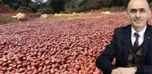 Giresun Ziraat Odası Başkanı 