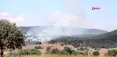 AFYONKARAHİSAR Sandıklı'da orman yangını