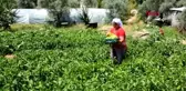 MUĞLA ÇOK YÖNLÜ MUHTAR, TAKDİR TOPLUYOR