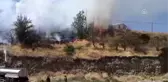 Hakkari'de örtü yangını üzüm bağına zarar verdi