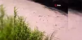 Tohma çayı çamur akıyor