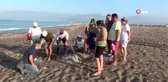Caretta caretta alanında drift yapan sürücüye rekor ceza