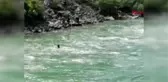 Artvin Nehirde sürüklenen teknisyeni kurtarmak için seferber oldular