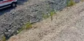 Otomobil şarampole devrildi, anne ve 2 yaşında oğlu hayatını kaybetti