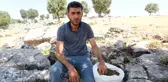 Meşe mazıları Siirt'te köylülerin gelir kapısı oldu! Kilosu 15 liradan ihraç ediliyor