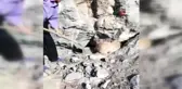 Kayalıklarda sıkışan köpeği vatandaş böyle kurtarıldı