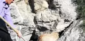 Kayalıklarda sıkışan köpek kurtarıldı