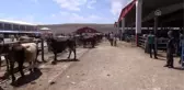 Doğu'nun 