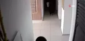Girdiği apartmanı hem soydu, hem de yardım parası topladı...Hırsızlık zanlısı kamerada