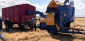 Kars'ta köylüler, güneş altında patos vuruyor