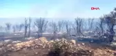 Çanakkale'de 70 dönümlük makilik alan kül oldu