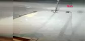 İSTANBUL- KÜMESE DADANAN SOKAK KÖPEĞİ KAMERADA