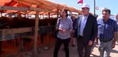 137 kiloluk koç ile 5 boynuzlu koç pazarın ilgi odağı