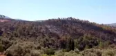 Bodrum'daki orman yangınından etkilenen vatandaşlar yaşadıklarını anlattı