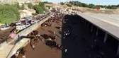 Diyarbakır'da kurbanlık hareketliliği başladı...Kurban pazarı havadan görüntülendi