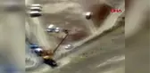 KARS Ayı saldırısına uğrayan çoban yaralandı
