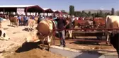 Kurban Bayramı'na doğru