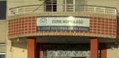 Şırnaklı Muhammed, gönül gözüyle hafız oldu