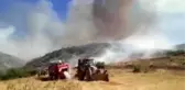 Afyonkarahisar'da orman yangını