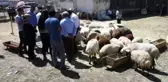 Doğu'da hayvan pazarlarında arife yoğunluğu