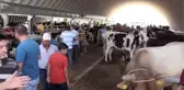 Kurbanlık 