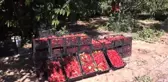 Tel örgülerin arkasında meslek öğreniyorlar