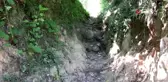 Yol olmadığı için hasta annesini el arabasıyla taşıyor