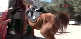 ANTALYA SAHİLLERİN GÜVENLİLİĞİ 'ATLI' BİRLİKLERE EMANET