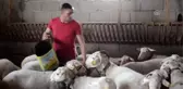 Hayallerini devlet desteğiyle gerçeğe dönüştürüyor