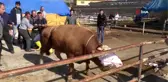 Yozgat'ta kurban satışları birinci gün de devam etti