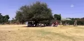 Yardım kuruluşlarının Afrika' ki kurban çalışması