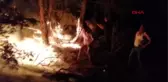 Eskişehir'de orman yangını