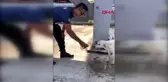 ANTALYA Komiser, suyunu sokak köpeğiyle paylaştı