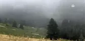 Uludağ'da 