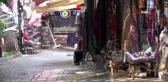 Ayakları her şeyi