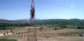 Elektrik hatlarına 