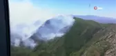 Milas'ta orman yangını