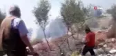 Milas'taki orman yangını tarım arazilerine sıçradı